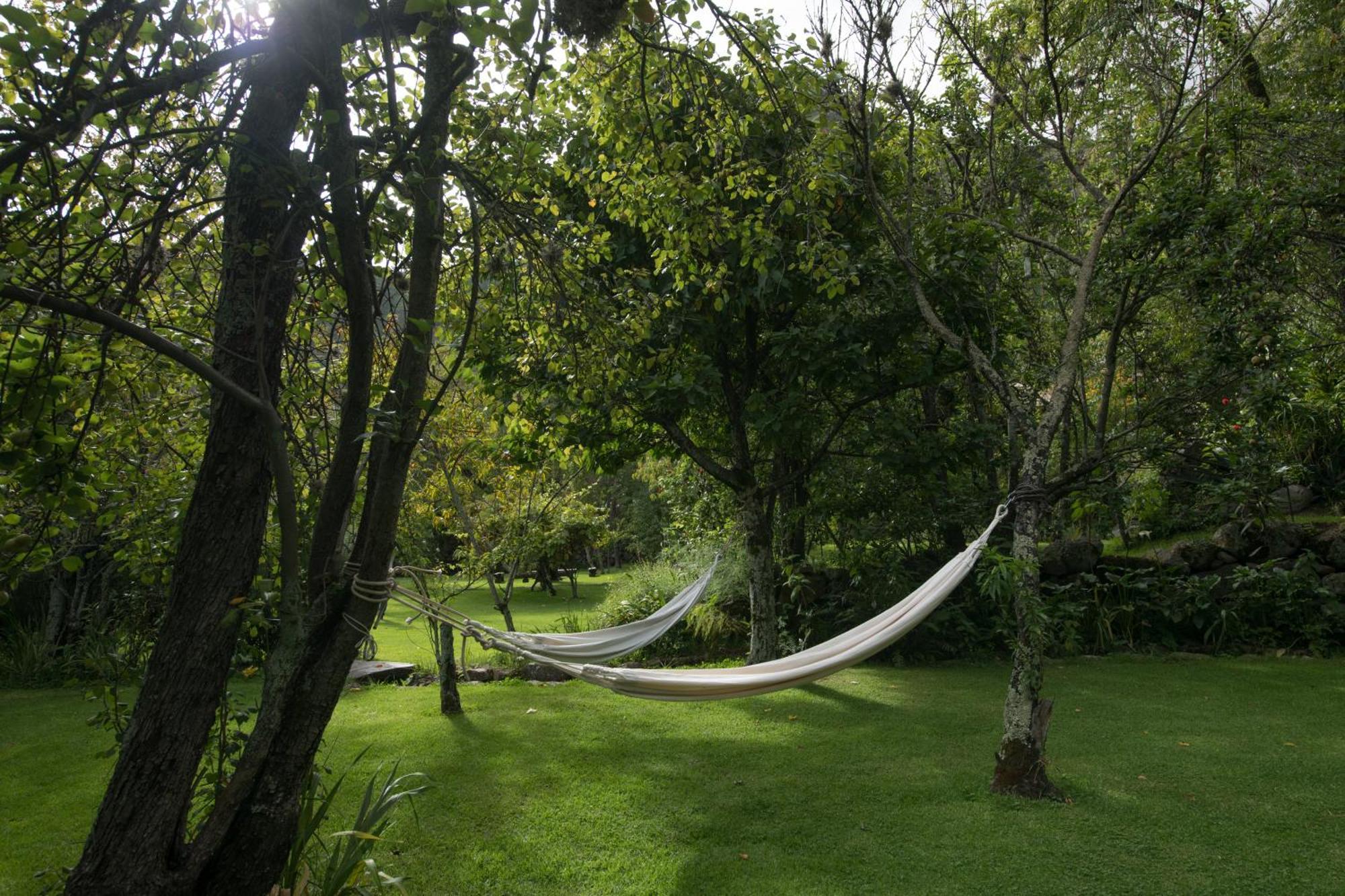 Andenia Boutique Hotel, Sacred Valley Urubamba Buitenkant foto