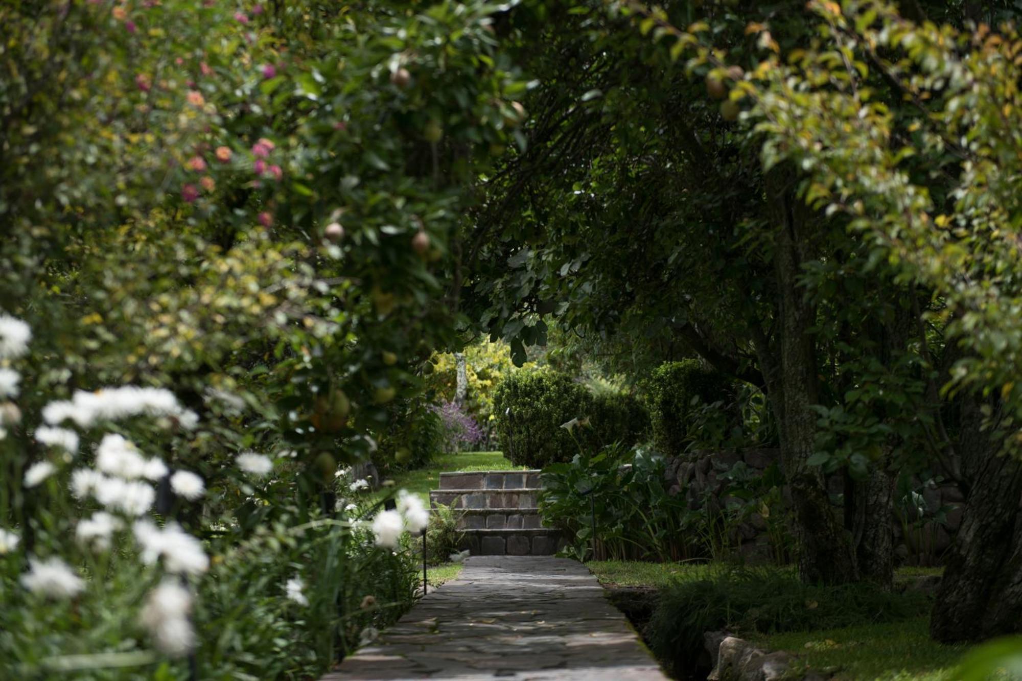 Andenia Boutique Hotel, Sacred Valley Urubamba Buitenkant foto