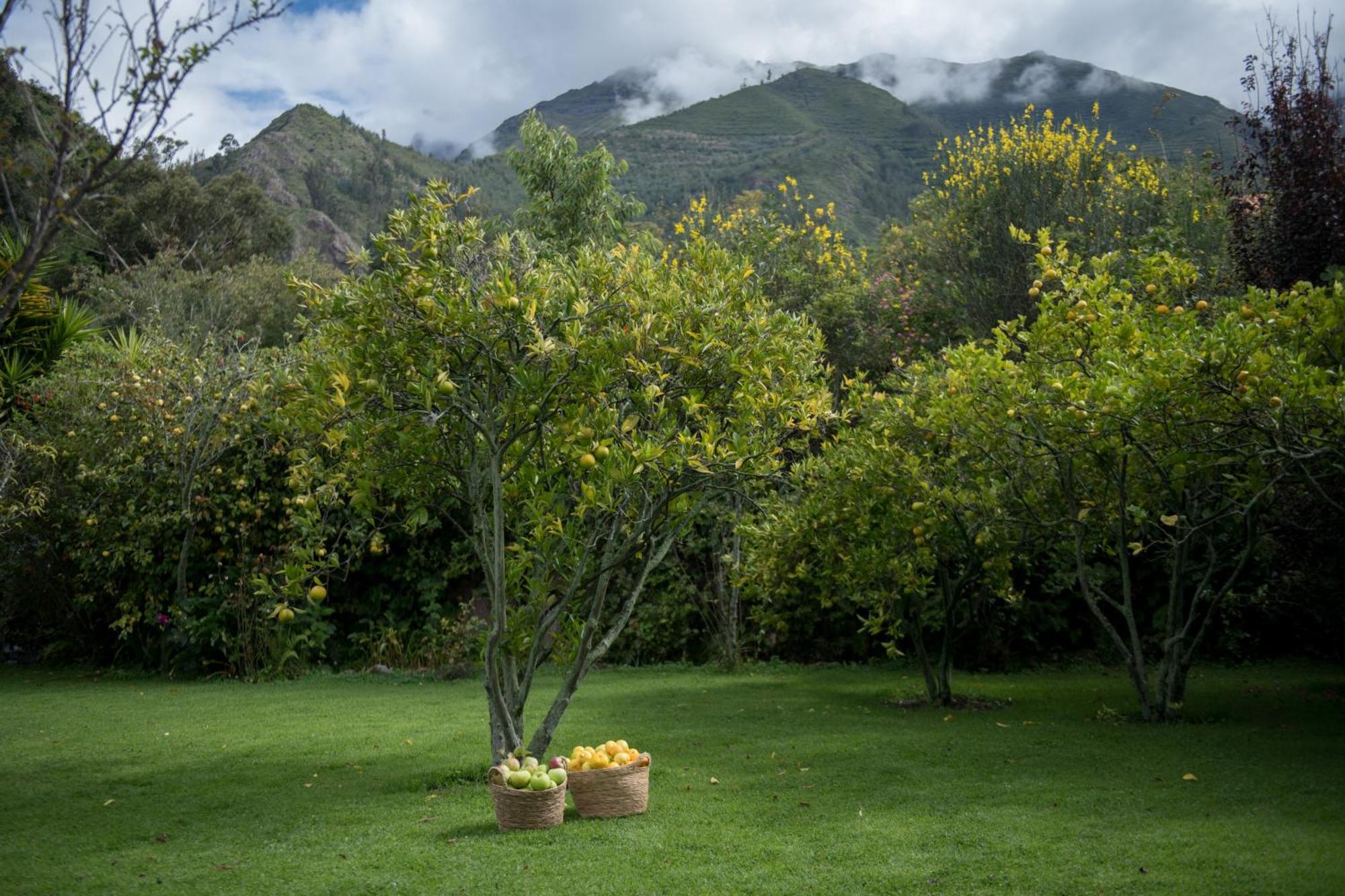 Andenia Boutique Hotel, Sacred Valley Urubamba Buitenkant foto
