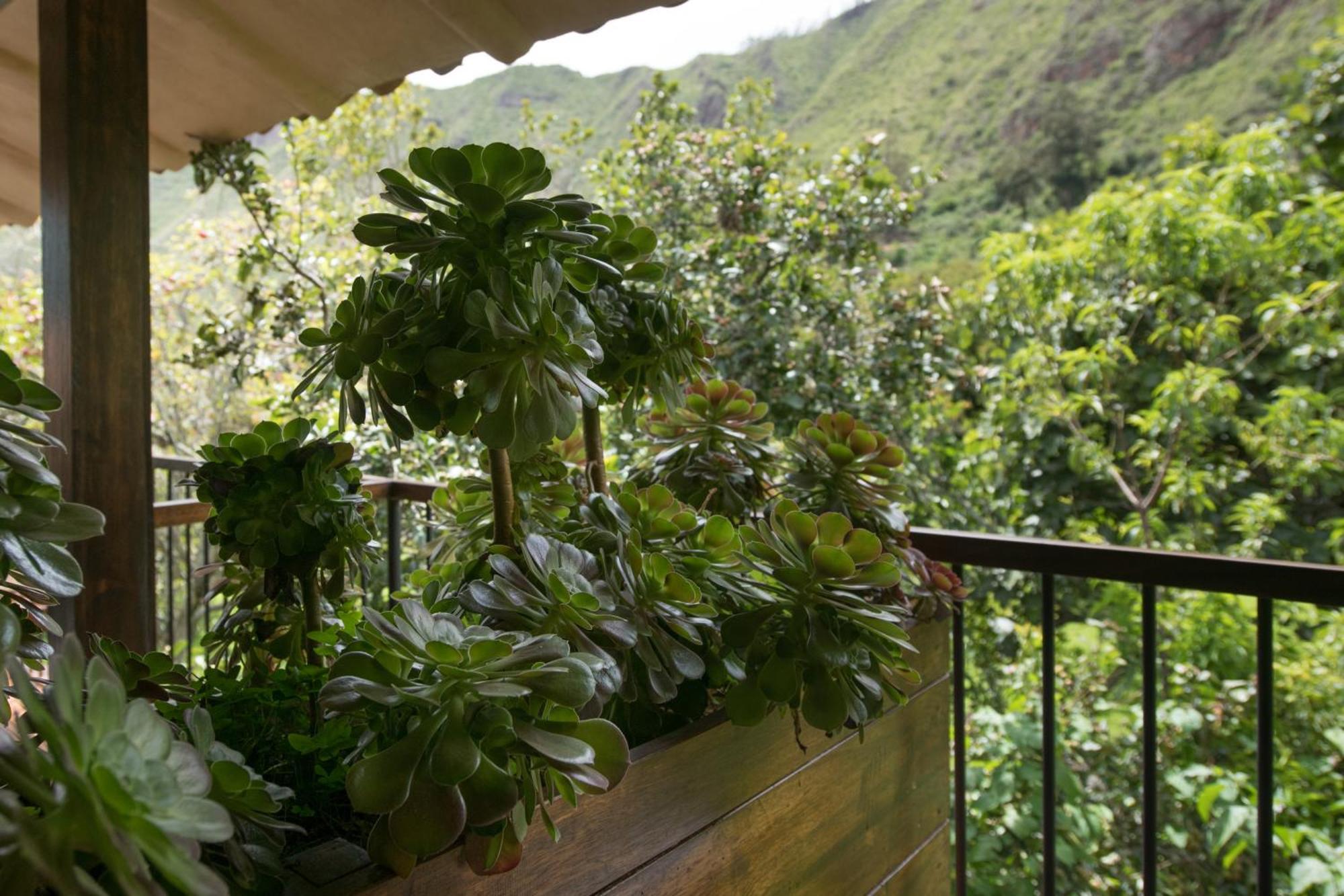Andenia Boutique Hotel, Sacred Valley Urubamba Buitenkant foto